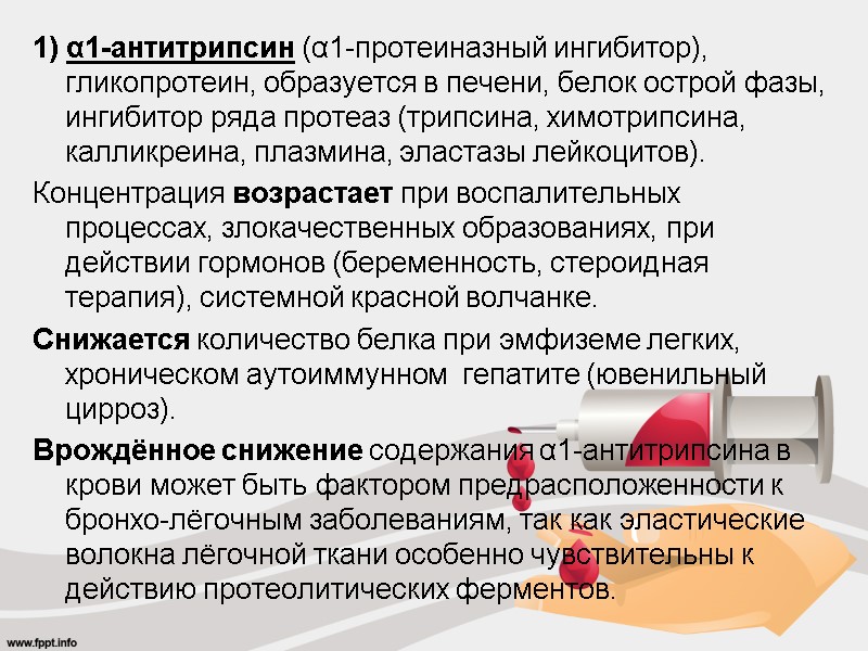 1) α1-антитрипсин (α1-протеиназный ингибитор), гликопротеин, образуется в печени, белок острой фазы, ингибитор ряда протеаз